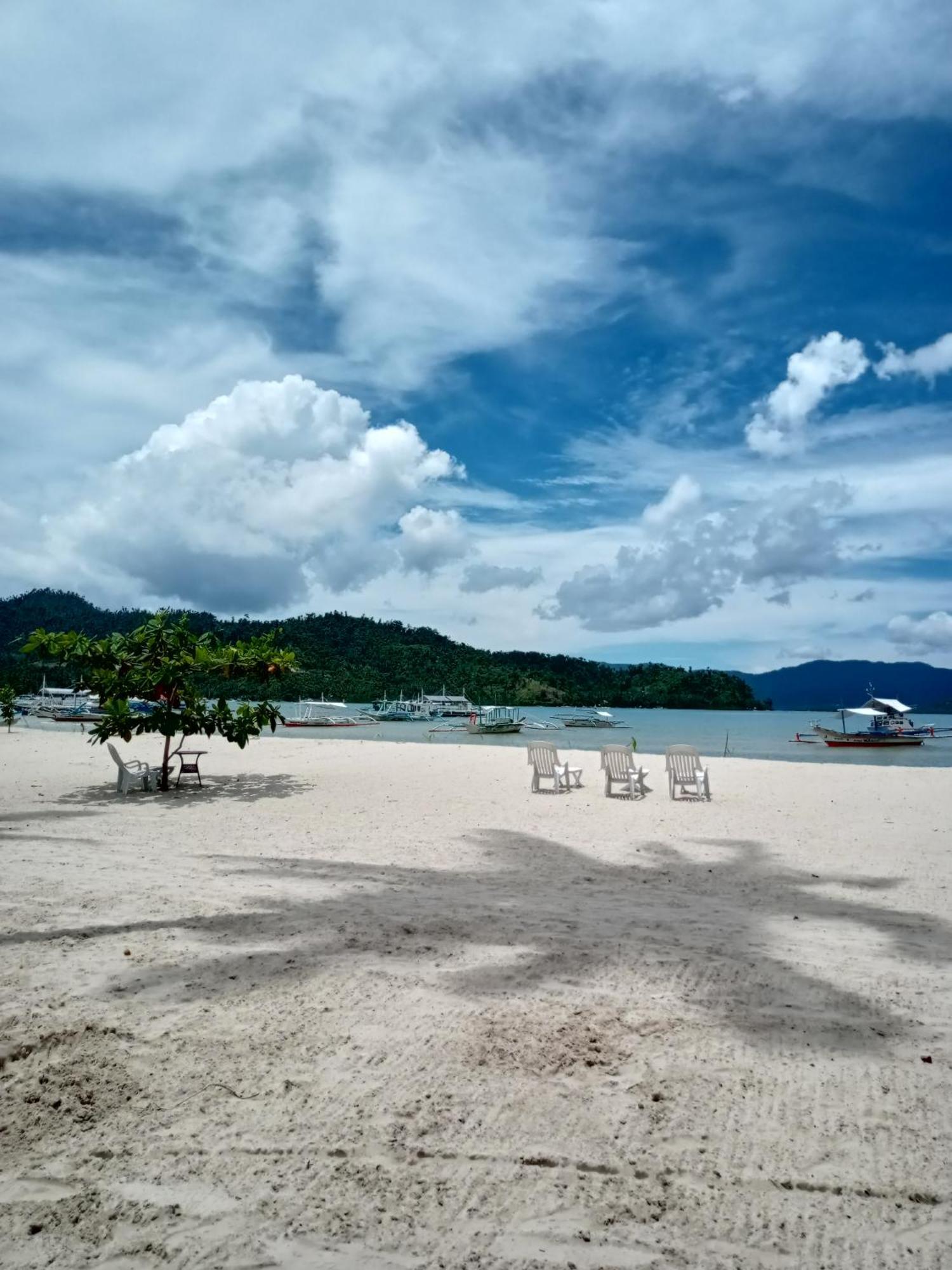 Greenviews Resort & Restaurant Port Barton Сан-Висенте Экстерьер фото